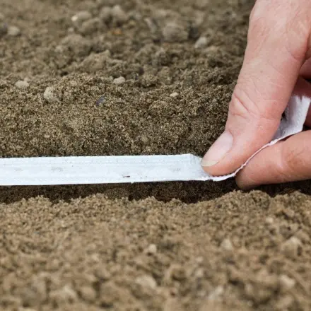 Saatband für den Gemüsegarten selber anfertigen