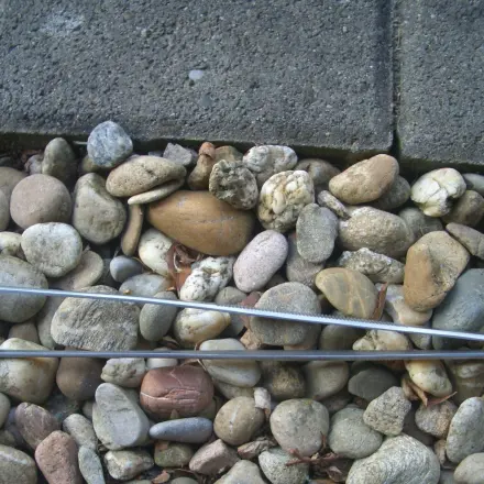 Kieselsteinrabatten von heruntergefallenem Laub befreien