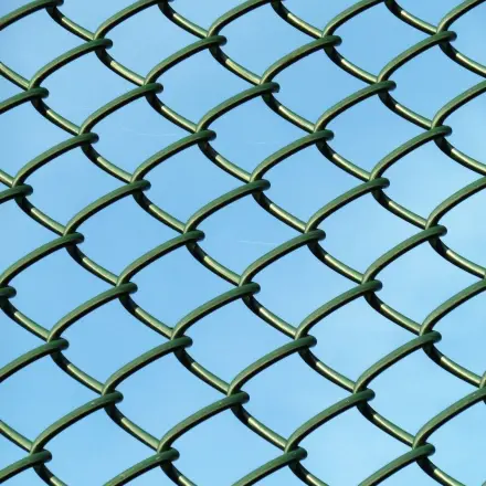 Marder im Motorraum verhindern