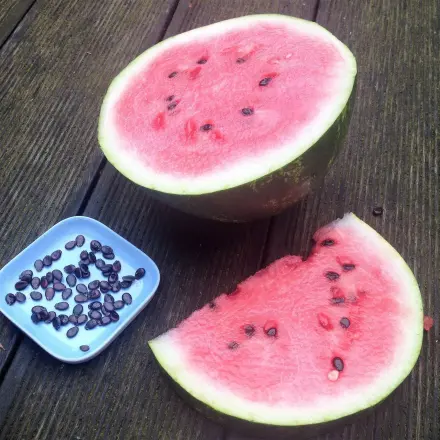 Melonenkerne rösten und verwerten