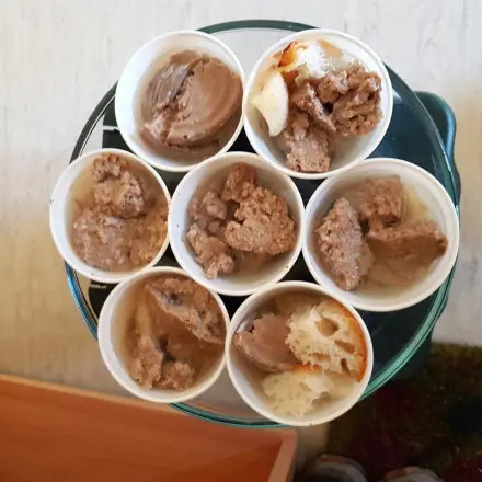 Hundeeis bzw. Katzeneis: Abkühlung für heiße Tage