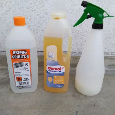 Blattläuse - Isch mach eusch fertisch!