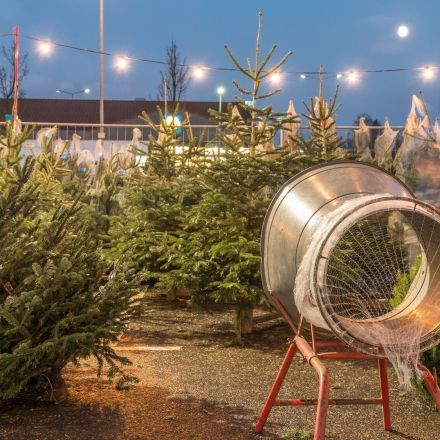 Den richtigen Weihnachtsbaum kaufen