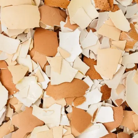 Eierschalen als Kalkzusatzfutter - Schalen sammeln und weitergeben