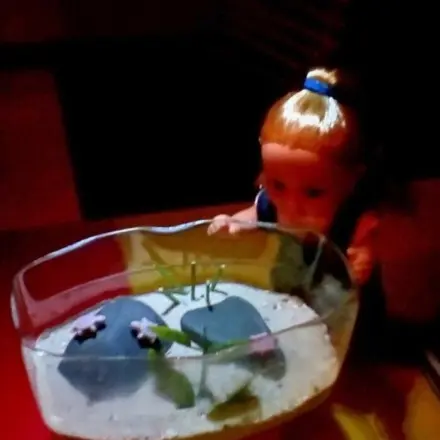 Schildkröten Terrarium für Puppen selber machen