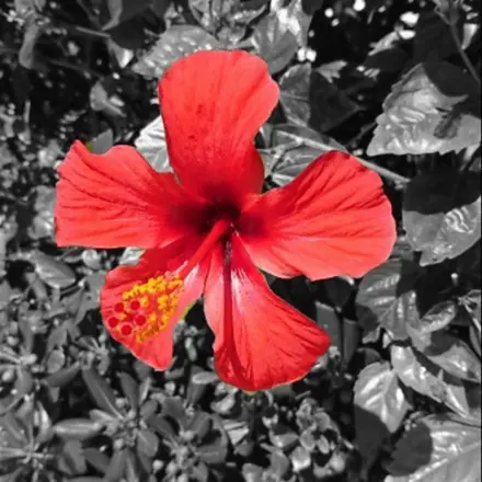 Urlaubsfoto wird zu besonderem Bild für die Wohnzimmerwand