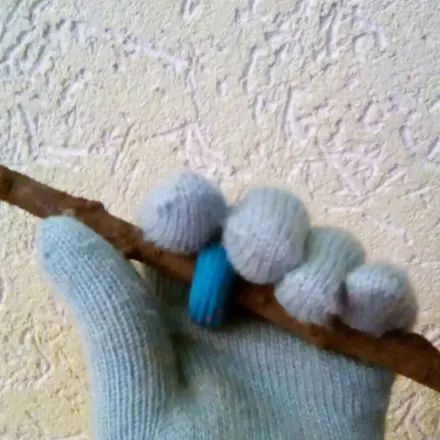 Den Hund gut im Griff mit einem einfachen Hilfsmittel