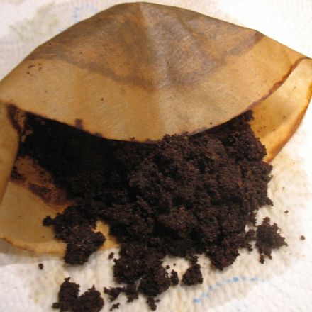 Kaffeesatz als natürlicher Dünger im Garten