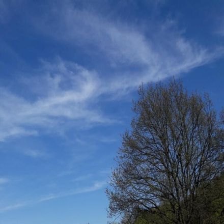 Auch im Frühling auf Sonnenschutz achten
