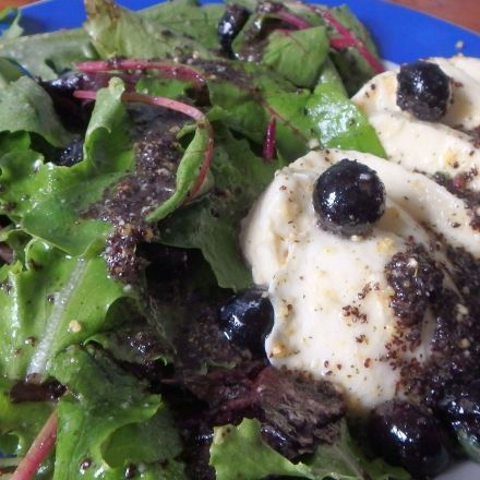 Wildsalat mit Mozzarella, Blaubeeren und Mohndressing
