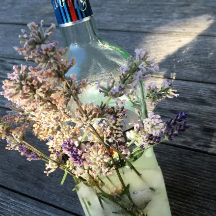 Flaschenkühler aus Eis und Blumen