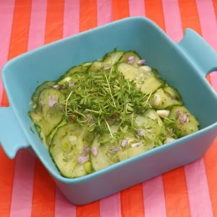 Schnellgurken oder Schüttelgurken - Grundrezept