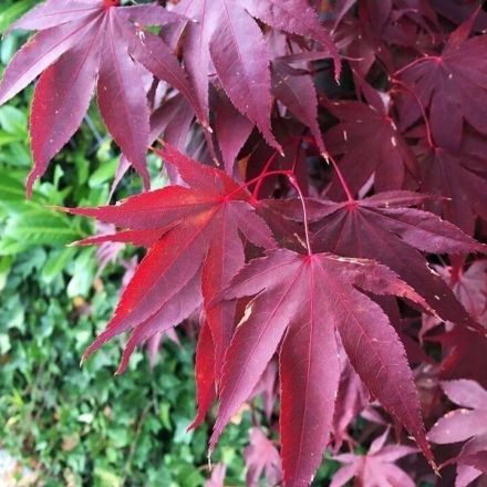 Habt ihr das gewusst? 10 Fakten zum Herbst