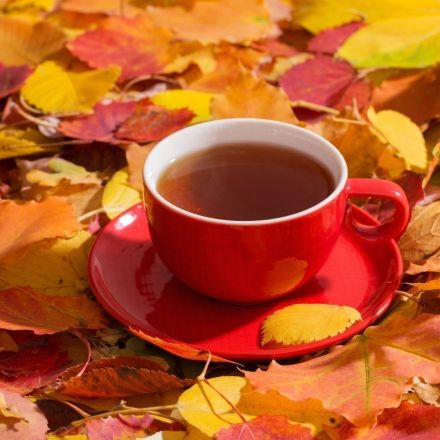 Herbst-Tees: Heißes für kuschelige Wohlfühlmomente
