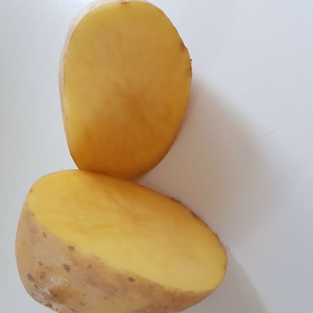 Kartoffel gegen Rostflecken auf fast allen Gegenständen