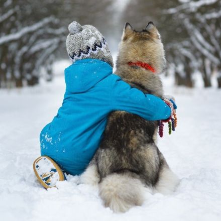 Die glücklichen Winterkinder auf der Winterinsel