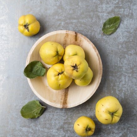 Quitten entsaften und weiter zu Gelee oder Mus verwerten