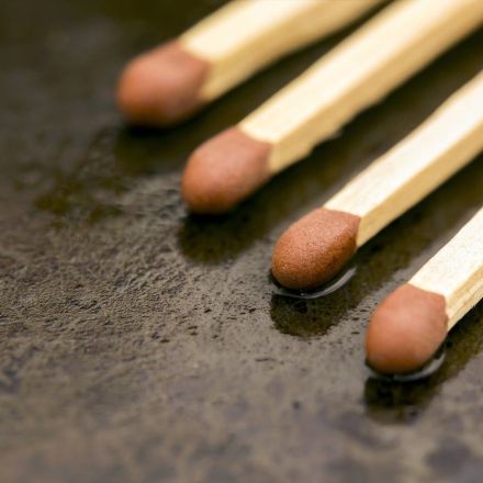 Streichhölzer gegen Trauermücken in Blumentöpfen