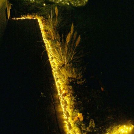 Weihnachtsdeko: Mit Lichterkette das Beet umranden!