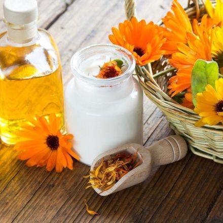 Melkfett mit Ringelblume bei Hämorrhoiden