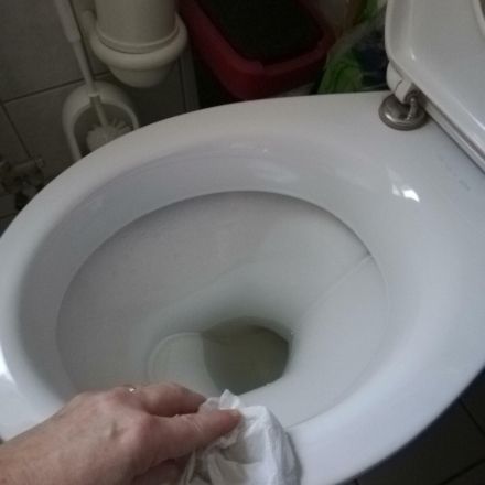 Toilette hygienisch putzen