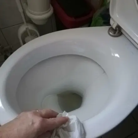 Toilette hygienisch putzen