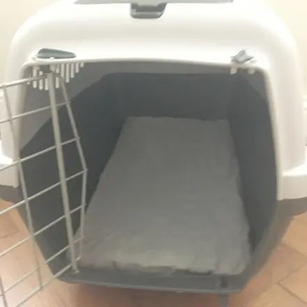 Rutschfestes Kissen für den Katzen-Transportkorb