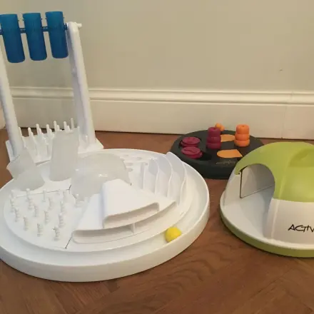 Beschäftigungsmöglichkeiten für (Wohnungs-)Katzen