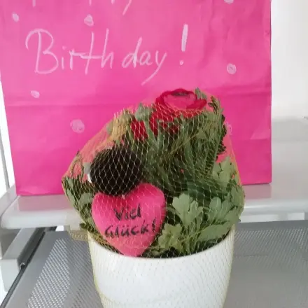 Obstnetze weiterverwenden