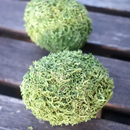 Ostereier mit Moos basteln