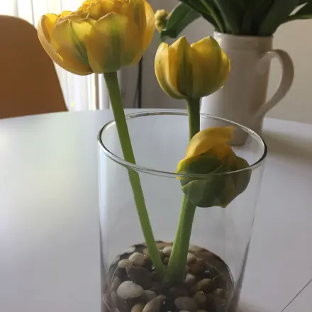 Tischdeko mit Tulpen - schlicht & schön