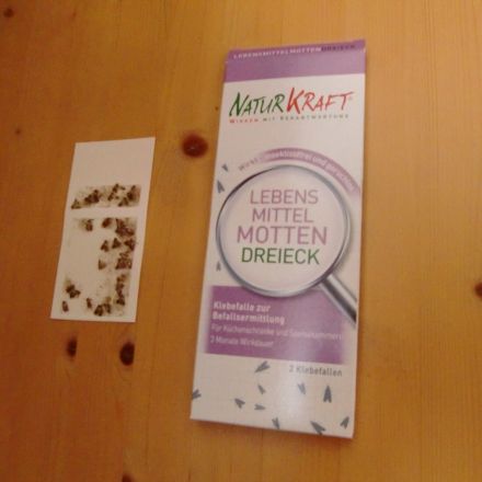 Lebensmittelmotten bemerken und bekämpfen