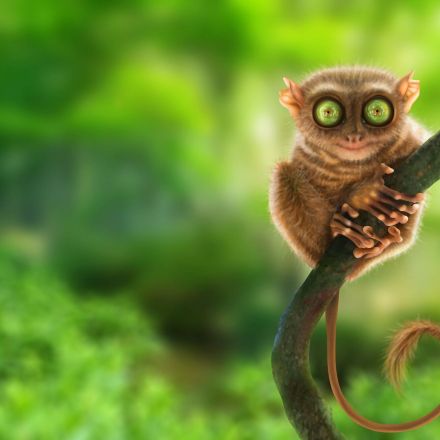 Die 5 kuriosesten Tiere der Welt