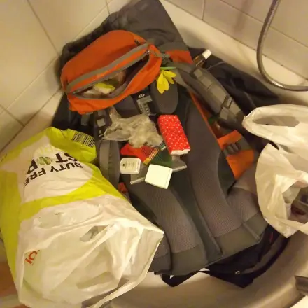 Kein Ungeziefer aus dem Urlaub einschleppen