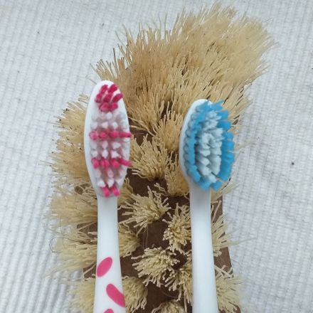 Zähne putzen - Zahnputzschaden vermeiden