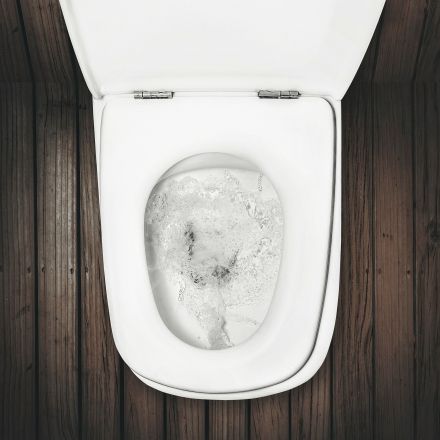 Verstopfte Toilette freibekommen