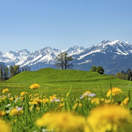 Das wunderschöne Allgäu im #ReiseMontag