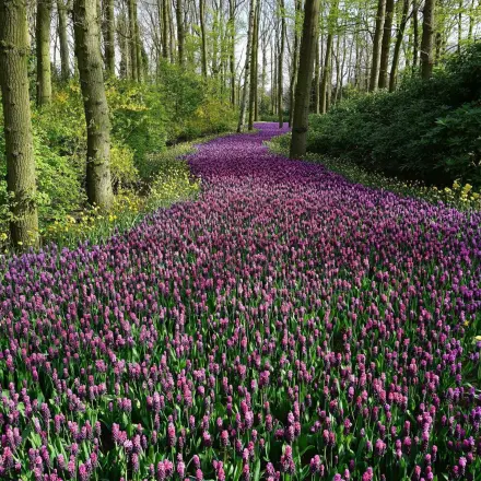 Blumenkalender und essbare Pflanzen Teil 2: Weitere Frühlingsboten