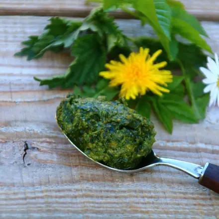 Wildkräuter-Pesto a la Silva