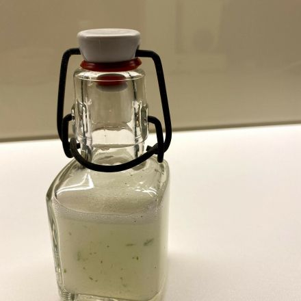 Aloe Vera-Gel selbst gewinnen Schritt für Schritt