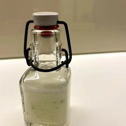 Aloe Vera-Gel selbst gewinnen Schritt für Schritt
