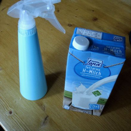 Blattläuse bekämpfen - aber ohne Chemie