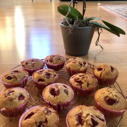Saftige Erdbeer-Muffins mit weißer Schokolade