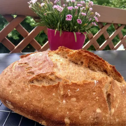 Dinkelmischbrot