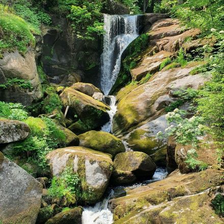 Schwarzwald: Ausflugsziele und Wandertipps #ReiseMontag