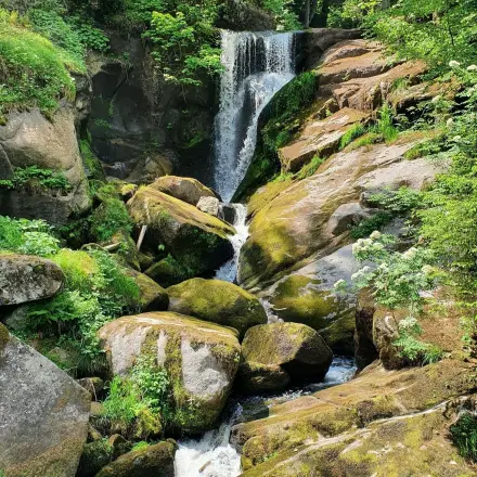 Schwarzwald: Ausflugsziele und Wandertipps #ReiseMontag