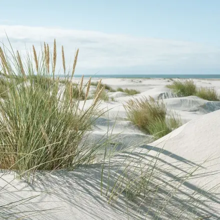 Amrum: Die Perle der Nordsee mit kilometerlangem Strand #ReiseMontag