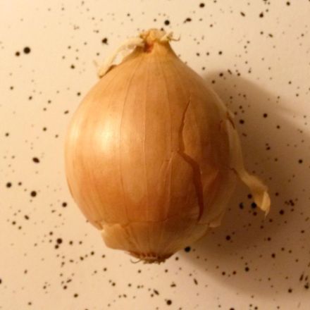 Rohe Zwiebel schneiden ohne Tränen