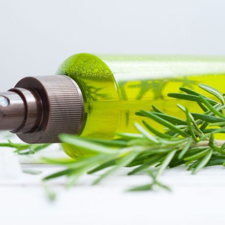 Rosmarin-Kaffee-Sud gegen Ameisen in der Wohnung