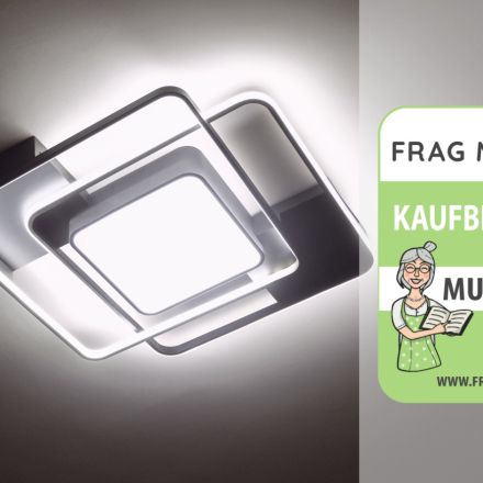 Deckenleuchte Test & Vergleich: 8 günstige Modelle